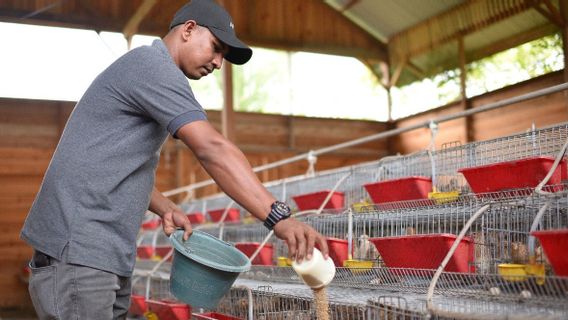 SIG Bantu Kelompok Peternak Puyuh Andalas Memproduksi 4.000 Telur per Hari