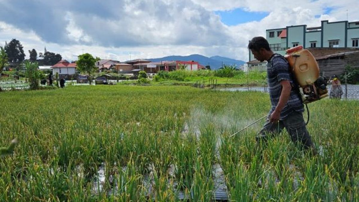 水危機が南スラウェシの稲作農業に影響を与え始めている