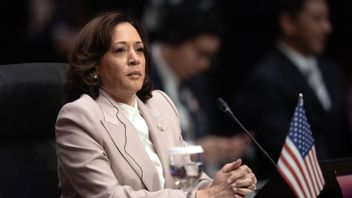 Kamala Harris Emphasizes US Will Not Send Troops To Israel Or Gaza