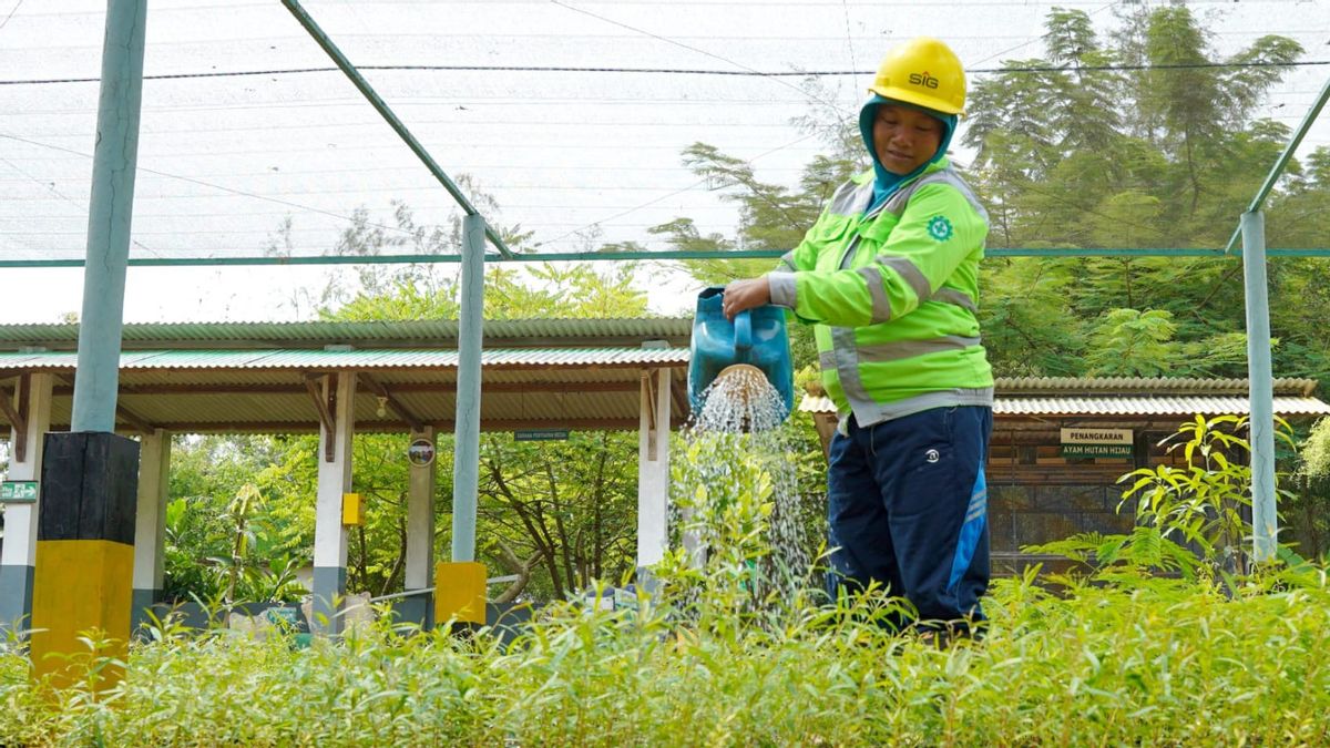 Not Only Accompanying The Environment, The GIS Sustainability Program Absorbs 20 Thousand Workers