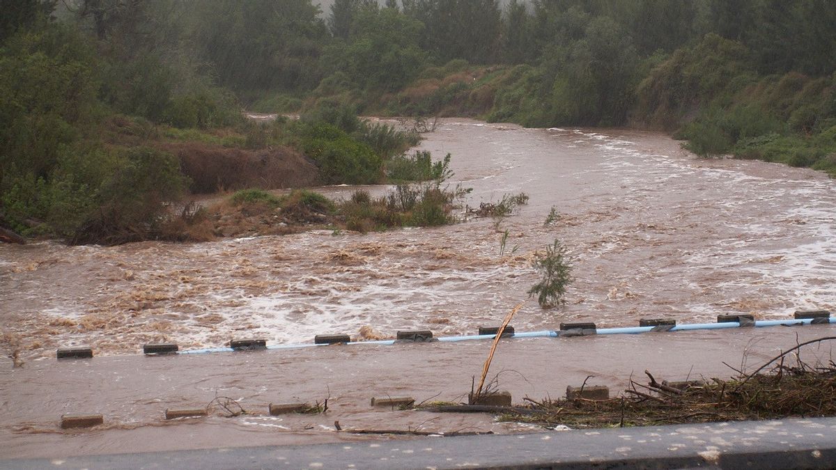 南アフリカの洪水死者数は443人の命に達し、数十人がいまだに行方不明