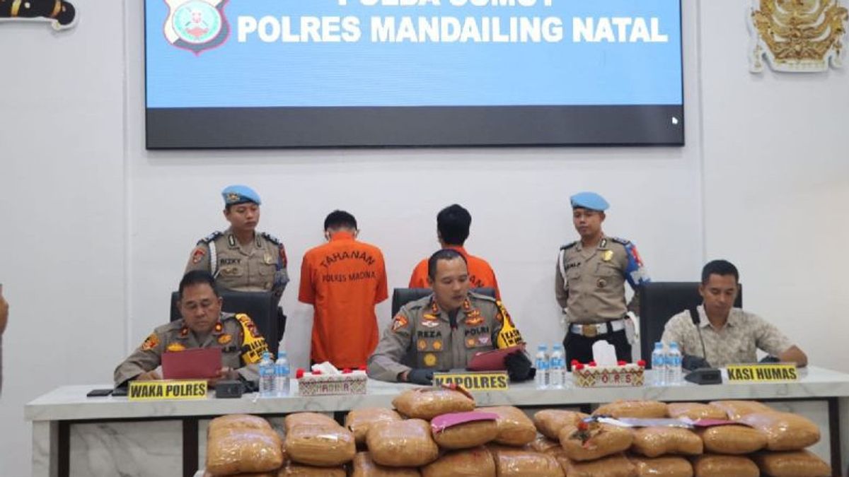 Police Arrest 2 Couriers Of 116 Kilograms Of Marijuana In Mandail Natal