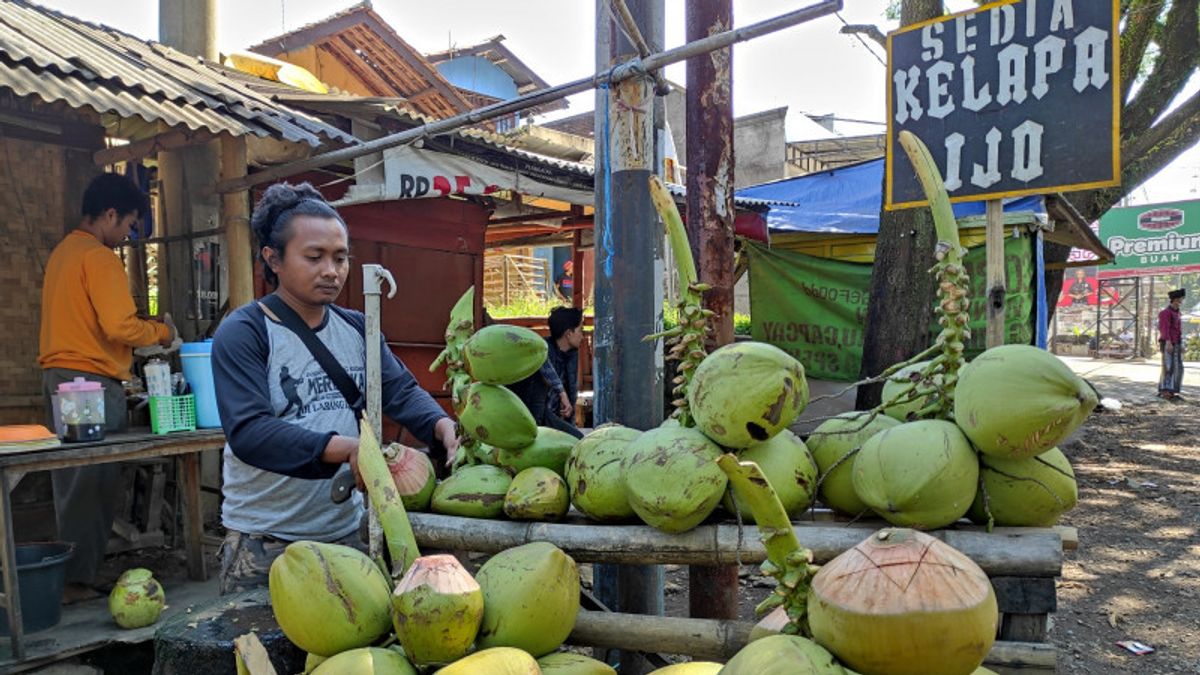 يمكن أن يكون الدواء، أوامر جوز الهند الأخضر في Cianjur زيادة حادة