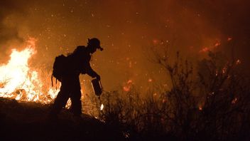 カリフォルニア州は史上2番目に大きな山火事を記録し、14,000の建物が脅かされました 