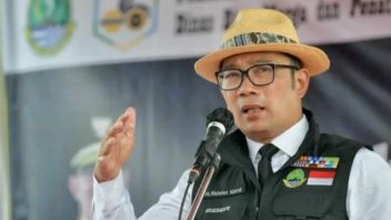 Ridwan Kamil Doesn't Want IKN Like Canberra: The Land Is Wide, But The Population Is Few