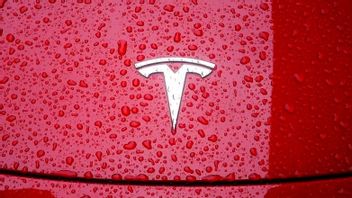 Otoritas Shanghai Membantu Tesla Kembali Membuka Pabrik Seusai 