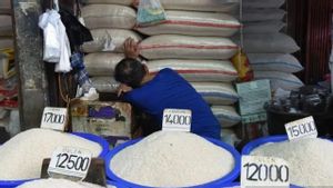 Indef: Pengoplosan Beras Dapat Merusak Efetivitas Kebijakan Pangan