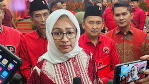 Airin Soal Peringatan Keras dari Megawati Saat Diusung PDIP: Rasa Sayang Ibu ke Putrinya