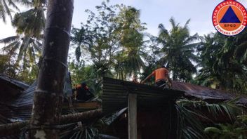 三棵树因强风和巴东帕里曼居民房屋受损而倒塌