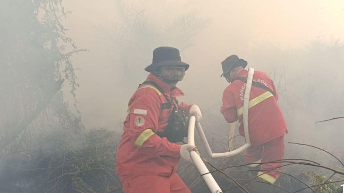 Saat Manggala Agni Padamkan Karhutla di Riau, Tiba-tiba Muncul Harimau Sumatera di Lokasi Kebakaran