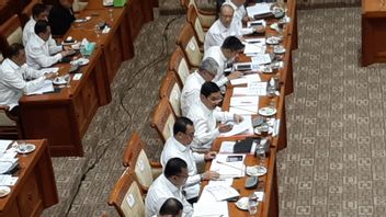 Il Y Avait Une Coordination Déconnectée à BNPT Pendant Le Wiranto Stabbing