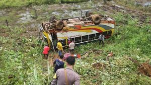 Kondisi Jalan Licin, Sempit dan Berkabut jadi Penyebab Jatuhnya Bus Jurusan Pontianak-Badau ke Jurang 8 Meter