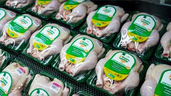 Harga Daging Ayam dan Cabai Rawit di Jakarta Meroket Tajam Jelang Imlek dan Ramadan, Pemerintah Lakukan Evaluasi