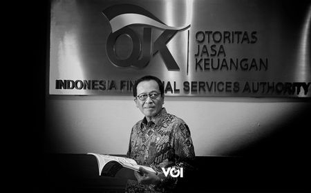 Eksklusif, Kepala Pengawasan Perbankan OJK Dian Ediana Rae Yakin Fundamental Ekonomi Indonesia Bagus