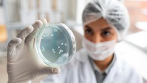 Getting To Know Patogen Bacteria: Hidden Threats Around Us