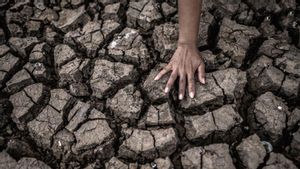 8 Kecamatan di Lebak Terdampak El Nino, BPBD Salurkan Air Bersih untuk Minum dan Masak 