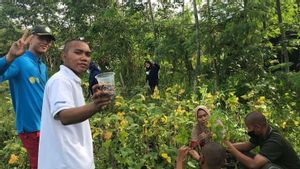 Produksi Kedelai di Indonesia Menipis, Kementan Dorong Mahasiswa Polbangtan