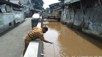 Revealed! The Death Of Thousands Of Broom Fish In The Kalibaru River In East Jakarta Is Not Because Of The Sacrificial Waste, But...
