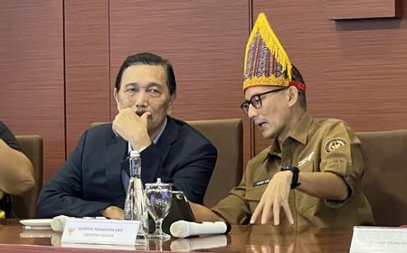 Presiden Tunjuk Luhut Jadi Ketua Pengarah Pengembangan Gim Nasional