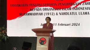 Cerita Megawati Soal Dirinya Terpilih jadi Juri Zayed Award 2024