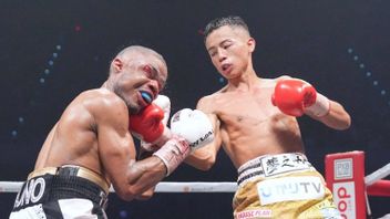 You Need To Know, Japan Has Made 100 Boxing World Champions
