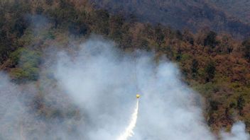 BNPB長官 パスルアン森林・土地火災に対処するための陸上タスクフォースの設立を奨励する
