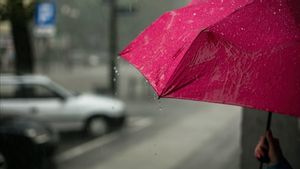 Prakiraan Cuaca BMKG: Sejumlah Kota Besar Terjadi Hujan Ringan Kamis 18 November