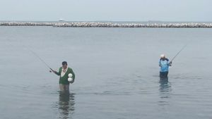 Viral Ribuan Ikan Berlompatan Menepi di Pulau Bidadari, KPKP Ambil Sampel Ikan dan Air Laut