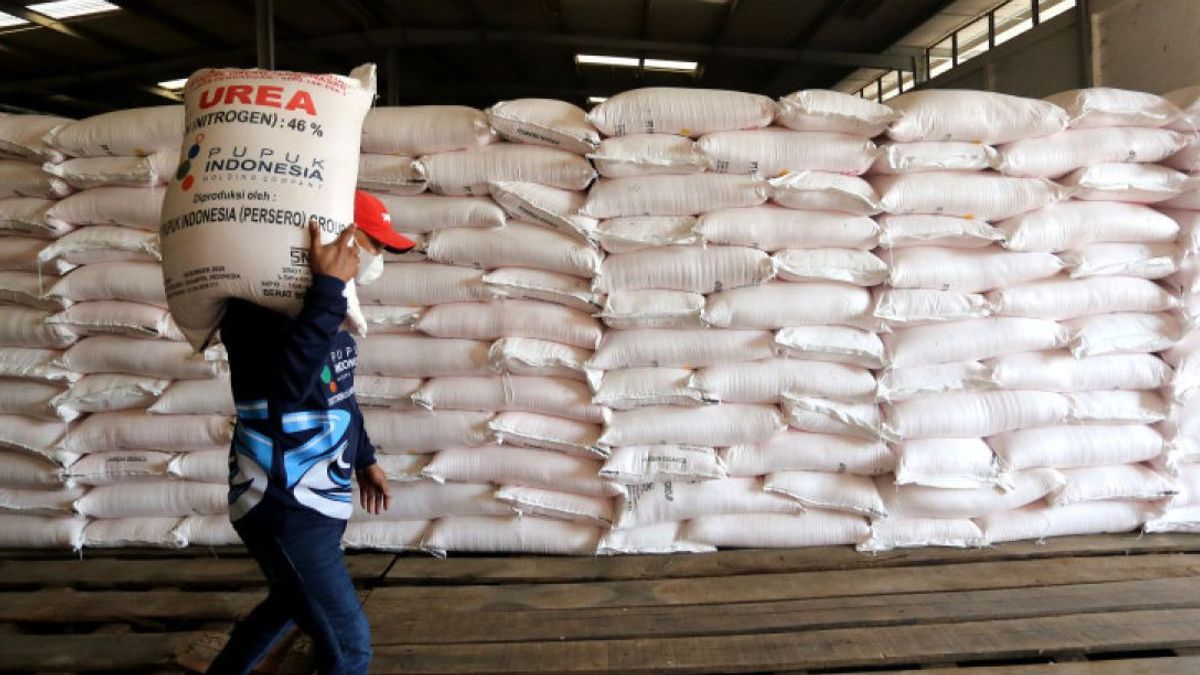 Le stock d'engrais subventionné dans le pays est sûr avant le phénomène La Nina