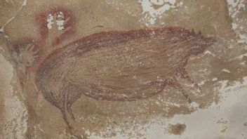  南スラウェシで発見された世界最古のいぼ豚45,500年前の洞窟絵画画像