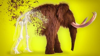 生物が繁殖しないと何が起こりますか?これが科学的な説明です