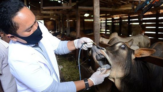 Meski dalam Suasana Pandemi COVID-19, Masyarakat di Aceh Tetap Semangat Berkurban