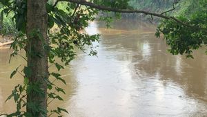 2 Hari Hilang di Kali Ciliwung, Ferdiaz Alfabel Ditemukan Tim SAR Tak Bernyawa