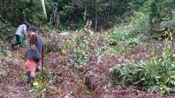 頻繁に雨が降り、セラサンナトゥナアラミ島、地滑り、敷設土地