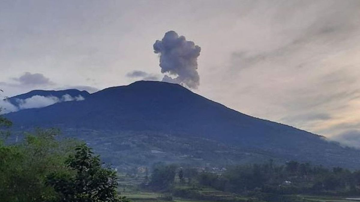 Mount Merapi's Eruption of Ash Begins to Rain on Agricultural Land in Tanah Datar