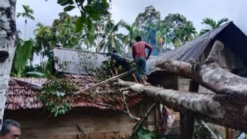 亚齐的五座居民房屋被倒下的树木损坏