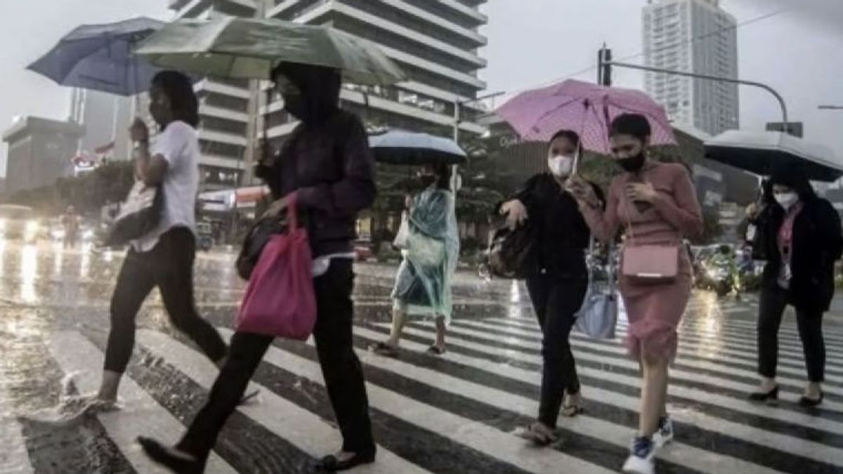 Jakarta Kerap Diguyur Hujan, Warga Jakarta Bisa Lapor Pohon Tumbang Lewat Cara Ini
