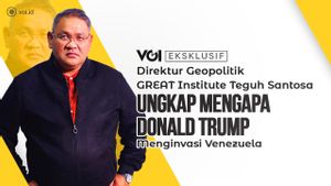 Eksklusif Video, Direktur Geopolitik GREAT Institute Teguh Santosa Jelaskan Maksud Trump Ingin Kuasai Greenland
