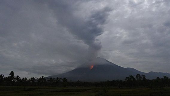 Hujan Abu Vulkanik Semeru Terdampak ke Probolinggo Hingga Lumajang 