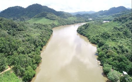 Jalan Panjang Pembangunan PLTA Sungai Kayan