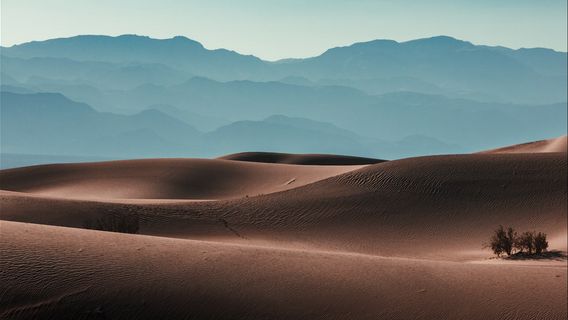 Belgian Tourists Enter Hospital For Losing Flip-flops When Temperature In Death Valley Reaches 50 Degrees Celsius