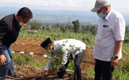 Kawasan Gunung Sumbing Ditanami 50.680 Bibit untuk Konservasi