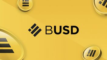 币安已于2024年停止支持BUSD稳定币