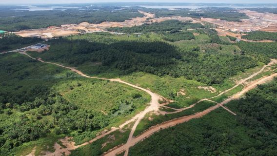 Pas seulement la promesse de réforme agricole par les institutions des terres