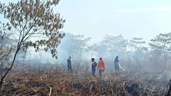 BPBD Masih Kesulitan Padamkan Kebakaran Lahan di Aceh Barat