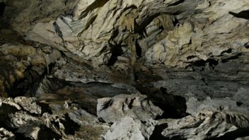 Peneliti Temukan 35 Gua di Gunung Batu Benau Kaltara-Kaltim