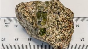 Temuan Meteorit Tertua Membawa Keraguan tentang Usia dan Distribusi Isotop Radioaktif