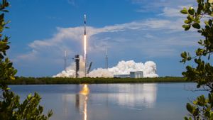 Elon Musk Prediksi Pendapatan SpaceX Tembus Rp252,4 Triliun pada 2025