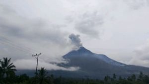 Lewotobi山NTT Kembali Erupsi, Muntahkan Abu Vulkanik Setinggi 600 M