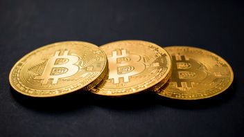 Bitcoin And Memecoin Rebound After Sharp Drop